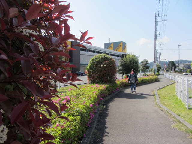 靜岡縣 島田 大型購物中心アピタ島田店 (APiTA Shimada Shop)