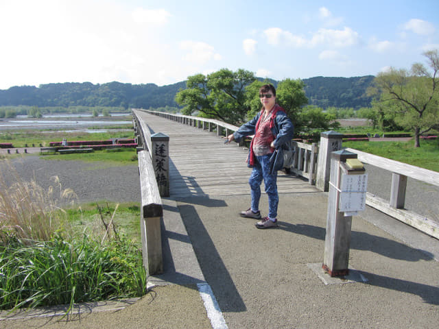 靜岡縣島田市 大井川蓬萊橋 世界最長的木橋