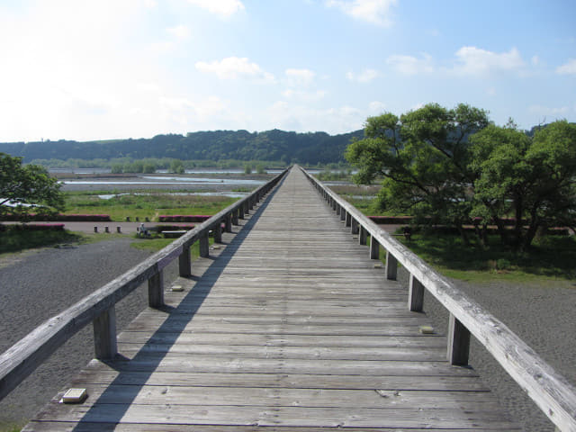 靜岡縣島田市 蓬萊橋 世界最長的木橋