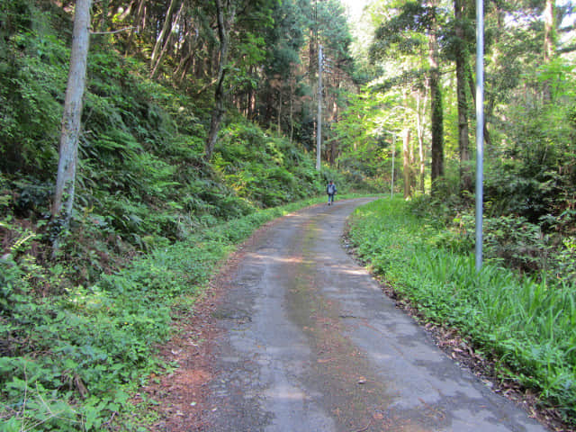 從蓬萊橋沿蓬萊七福神の小路走往靜岡縣牧之原大茶園