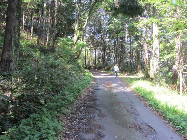 從蓬萊橋沿蓬萊七福神の小路走往靜岡縣牧之原大茶園