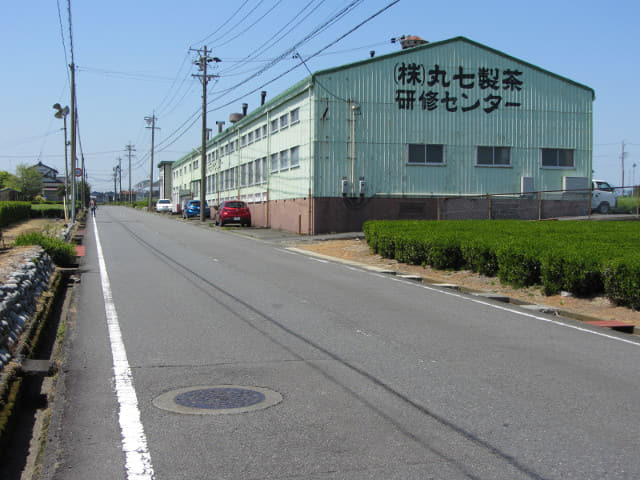 靜岡縣牧之原大茶園 丸七製茶研修センター