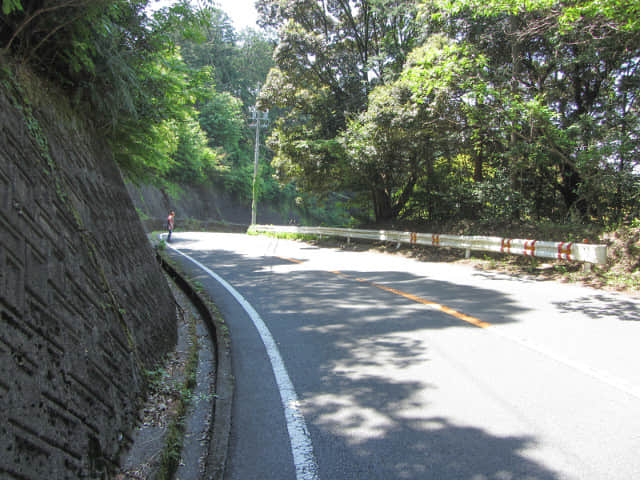 靜岡縣牧之原大茶園 遠足 步行到天神社