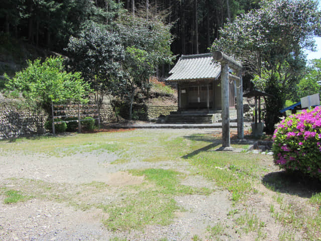 靜岡縣牧之原大茶園 天神社