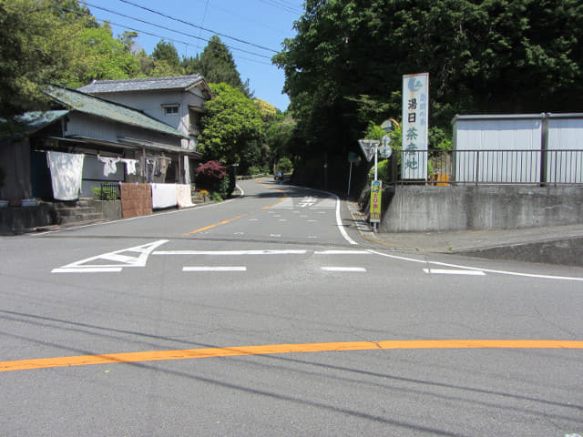 靜岡縣牧之原大茶園 天神社