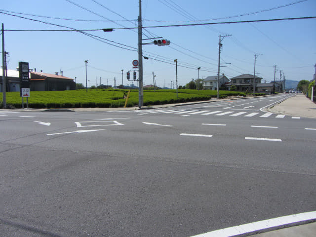 靜岡縣牧之原大茶園 富士茶之都博物館 (お茶の郷) 路口