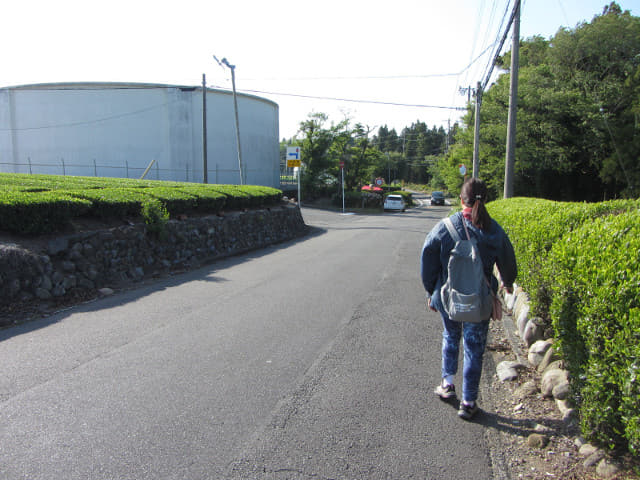 靜岡縣牧之原大茶園．金谷お茶の香通り