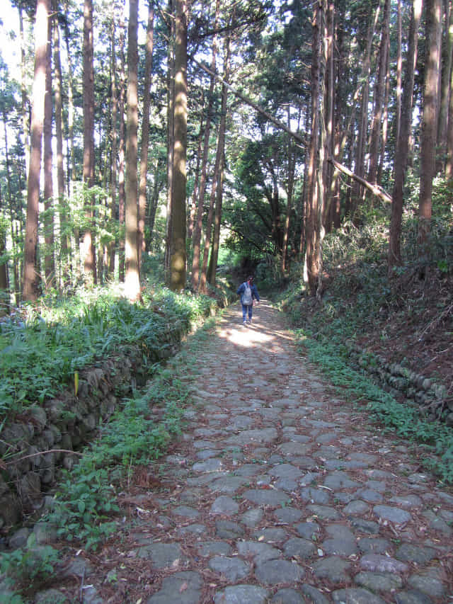 靜岡縣島田市 舊東海道金谷坂石畳