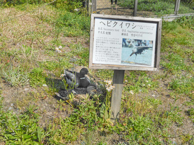 掛川花鳥園 室外區域