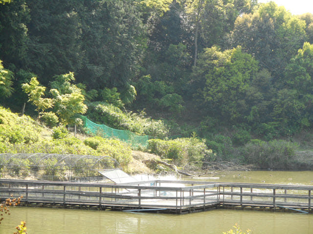 掛川花鳥園 室外區域