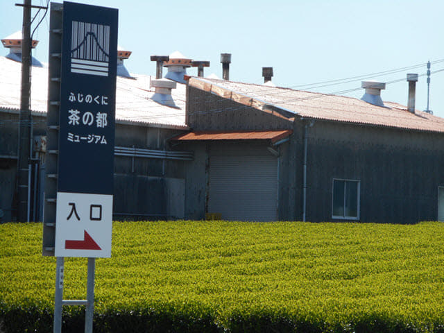 靜岡縣牧之原大茶園 富士茶之都博物館 (お茶の郷) 路口