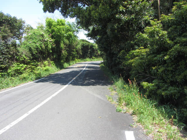 静岡市日本平 