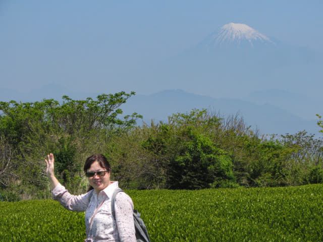 静岡市日本平 茶合館 眺望富士山