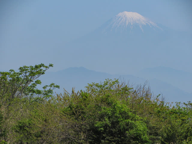 静岡市日本平 茶合館 眺望富士山