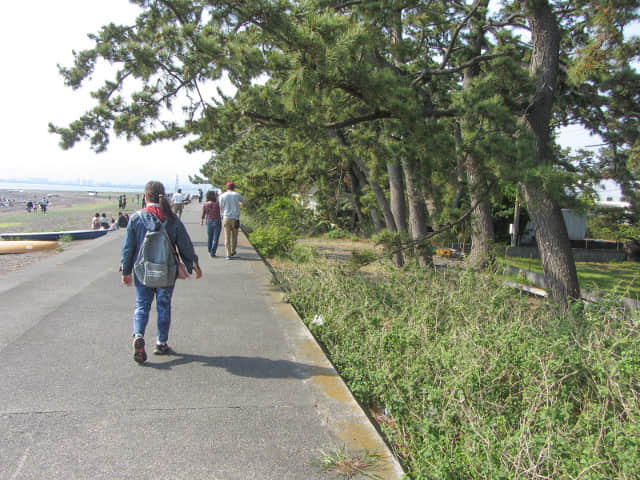 靜岡市清水區三保松原 三保海水浴場