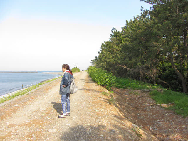 靜岡市清水區三保半島 三保真埼 (Masaki)．真崎海岸