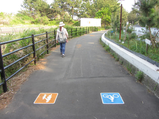 静岡市清水區三保松原