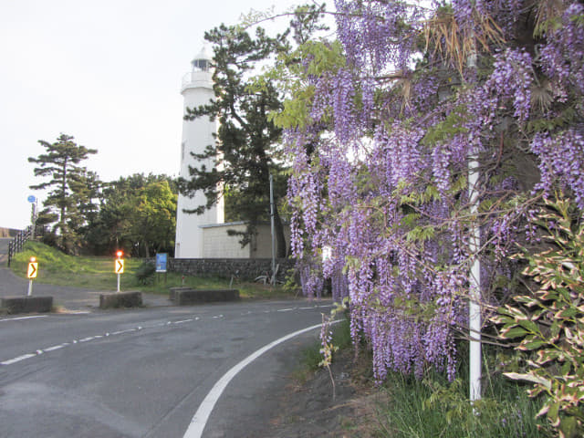 静岡市清水區三保松原 三保燈塔 (三保清水燈塔)