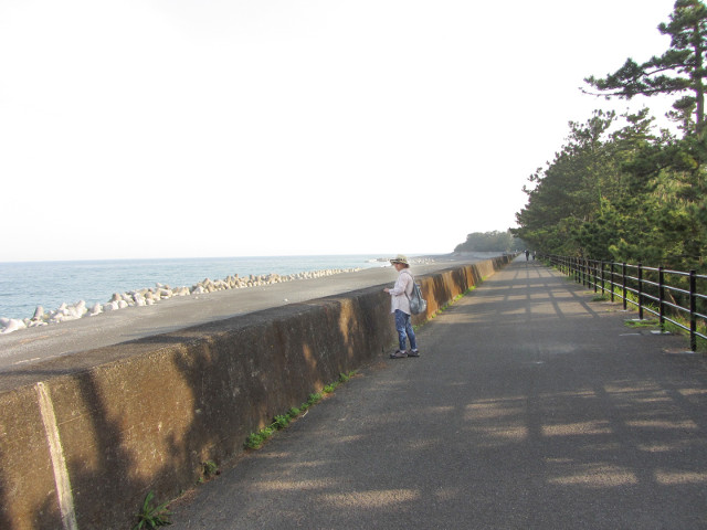 静岡市清水區三保松原 東面海濱長堤步道