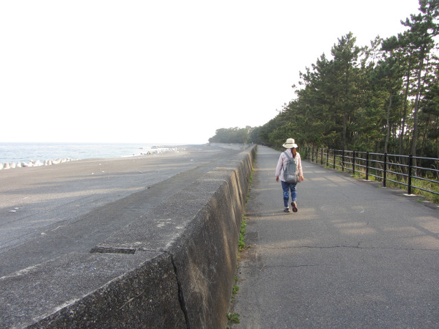 静岡市清水區三保松原 東面海濱長堤步道