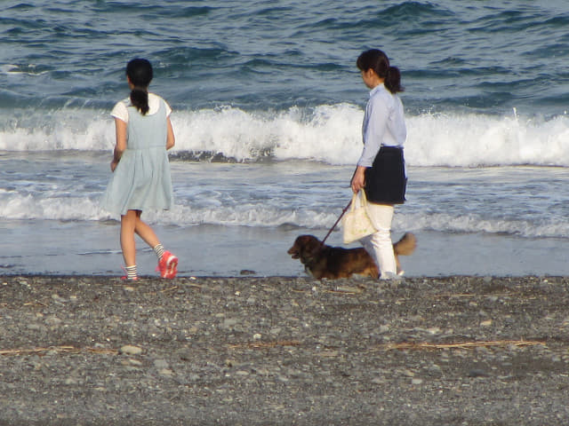 静岡市清水區三保松原 東面海濱