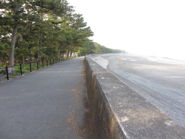 静岡市清水區三保松原 東面海濱長堤步道