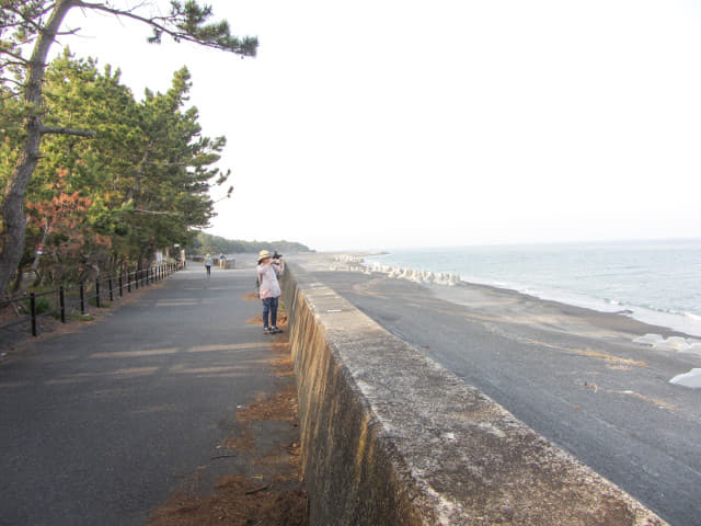 静岡市清水區三保松原 東面海濱長堤步道