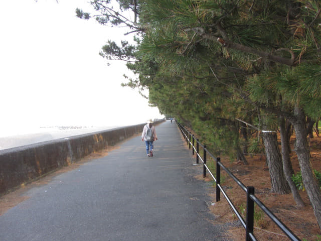 静岡市清水區三保松原 東面海濱長堤步道