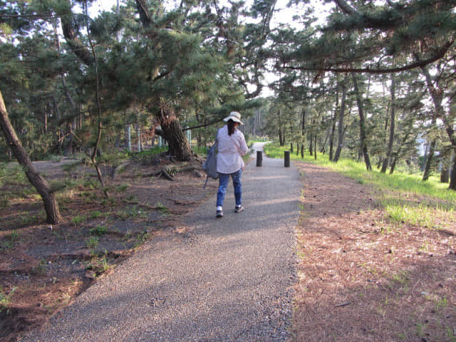 静岡市清水區三保松原 羽衣公園內遊步道 (鐮ケ崎遊步道)