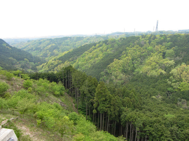 靜岡縣三島市 三島大吊橋 眺望山谷風光