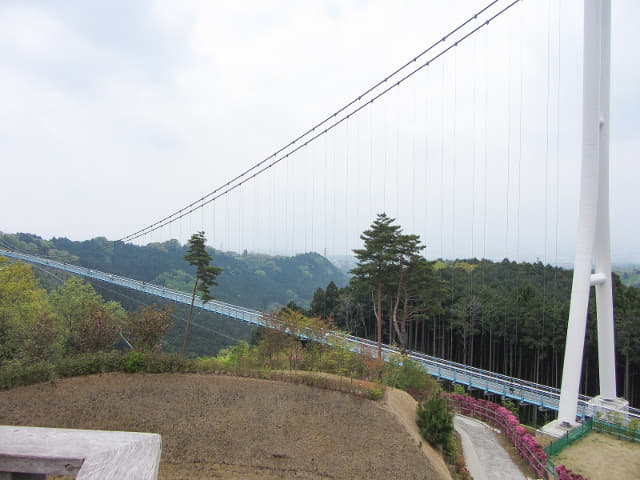 三島大吊橋北面展望台