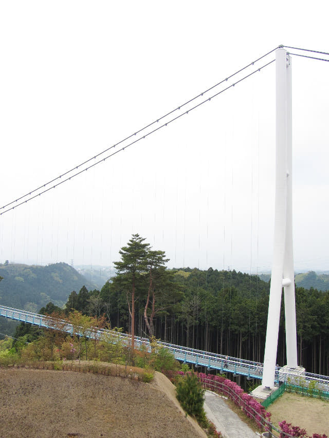 三島大吊橋北面展望台