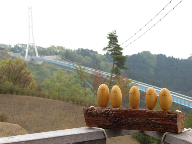 三島大吊橋 Flower Drop 展望台 Kicoro の森