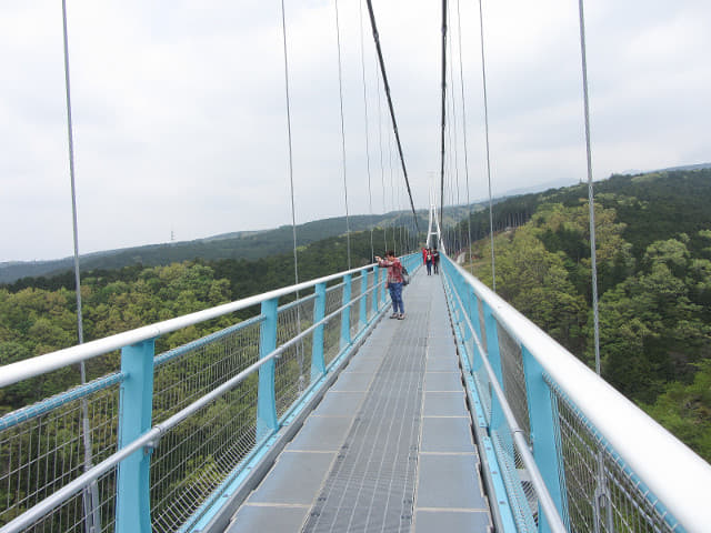 三島大吊橋 (三島 SkyWalk、三島天空步道)