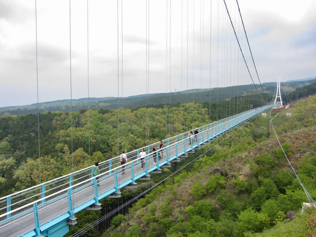 三島大吊橋 (三島 SkyWalk、三島天空步道) 南面橋頭展望台 眺望