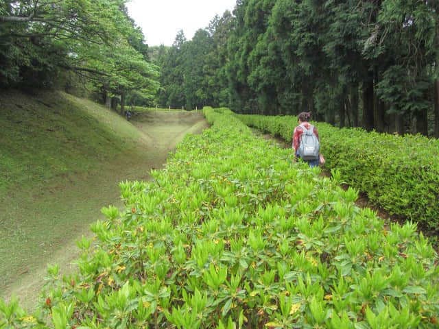 靜岡縣三島市 山中城 三之丸堀