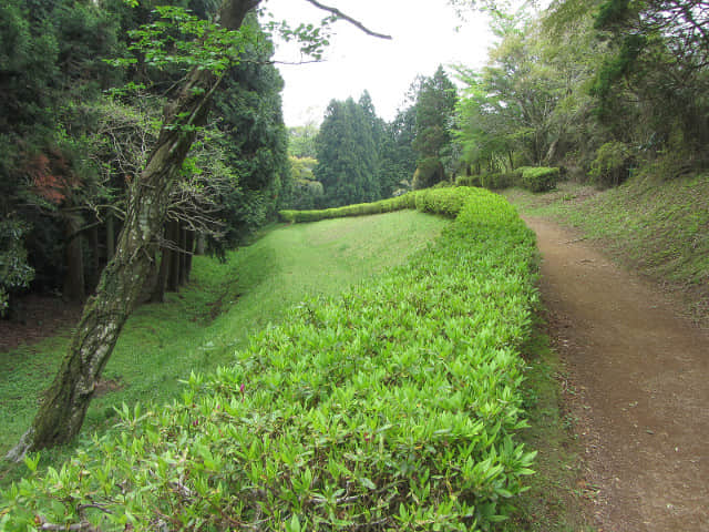 靜岡縣三島市 山中城 三之丸堀