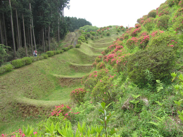 山中城跡 西の丸 畝堀護城河