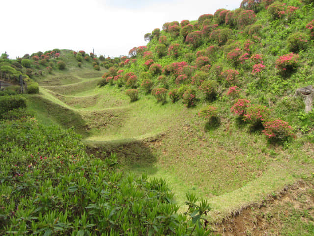 山中城跡 西の丸 畝堀護城河