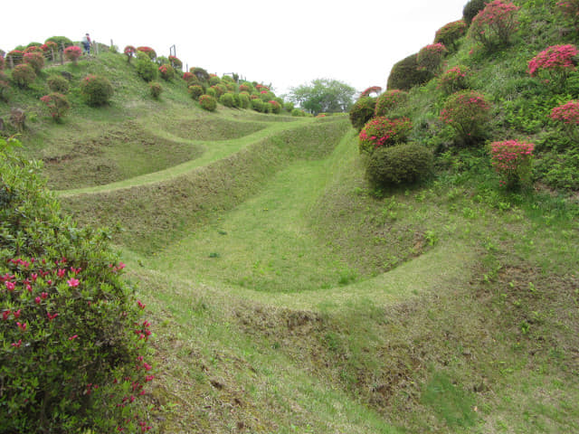 山中城跡 西の丸 畝堀護城河 杜鵑花