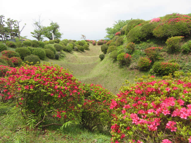 山中城跡 西櫓堀 畝堀