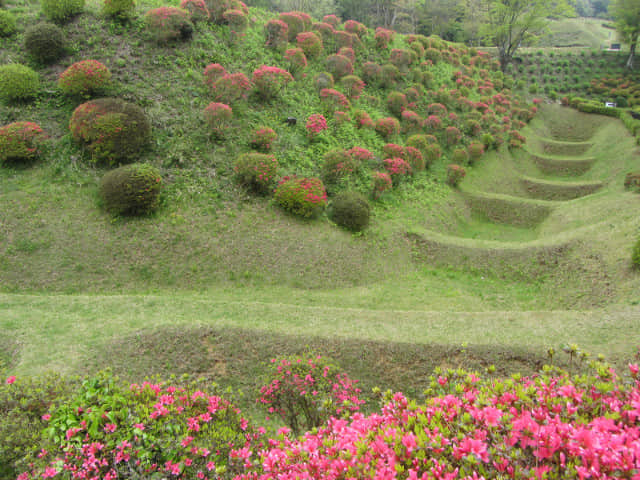 山中城跡 西櫓堀．畝堀