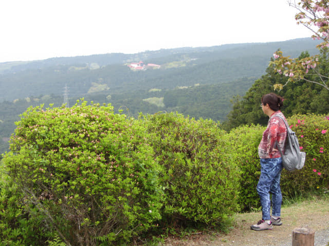 山中城跡．西木戶 眺望三島市和富士山最佳地點