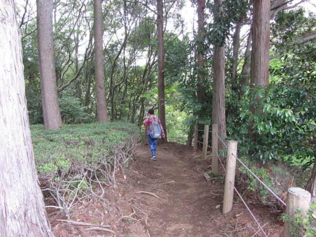 山中城跡 往木本丸跡．北之丸跡下山路