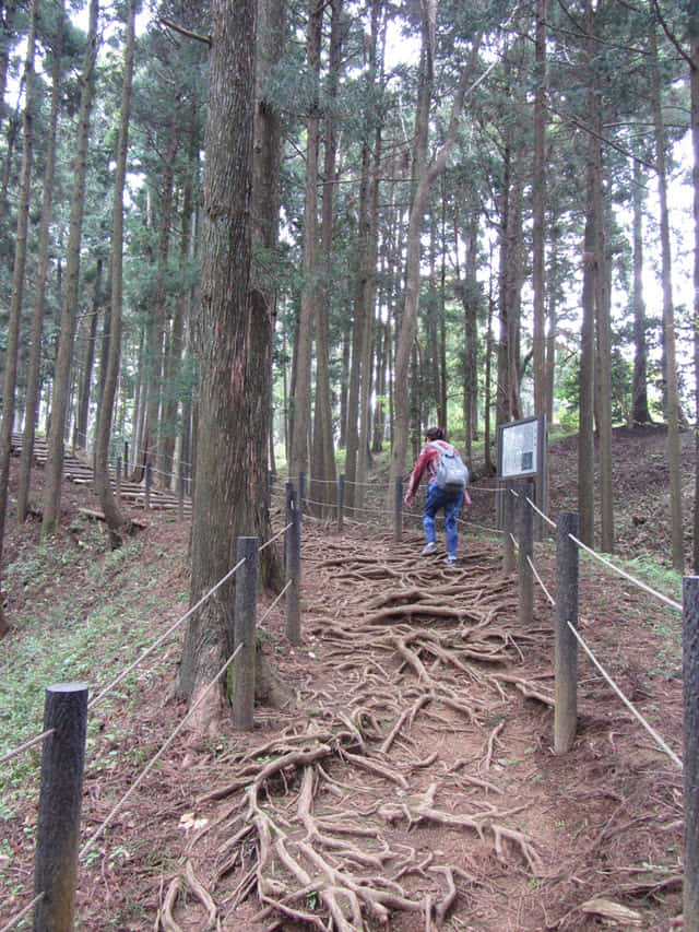 沿山中城跡本丸下的本丸崛旁步道走