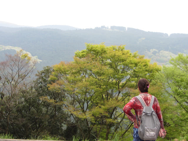 山中城跡 本丸出口步行到岱崎出丸入口 沿途風景