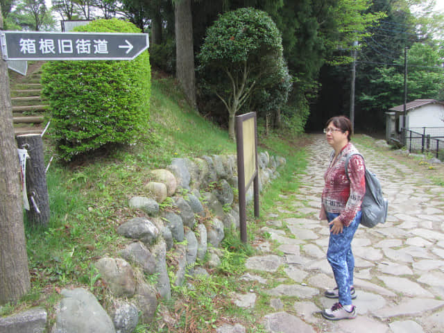 箱根舊街道石疊路 箱根八里．西坂段 山中城跡 岱崎出丸跡入口