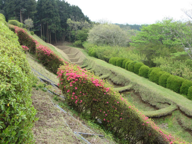 山中城跡 岱崎出丸．一の堀 畝堀