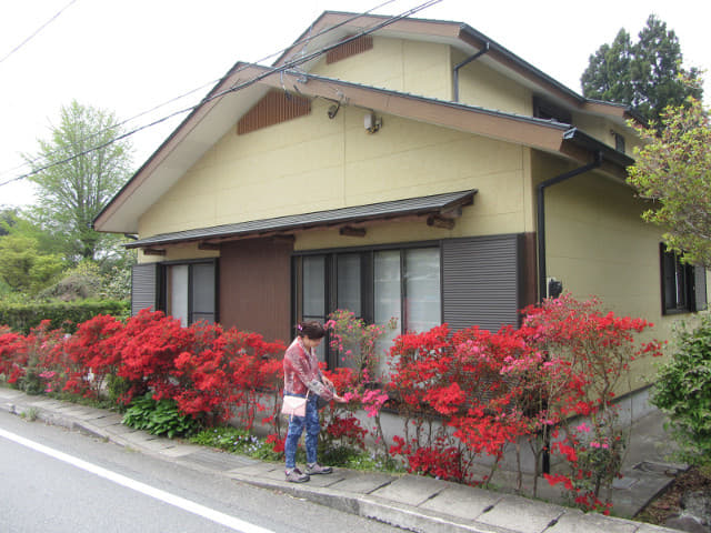 東海道．箱根旧街道、下四里(西阪)段