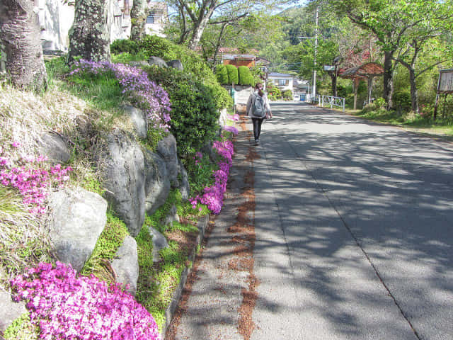 山梨縣富士吉田市 新倉淺間公園登山口 